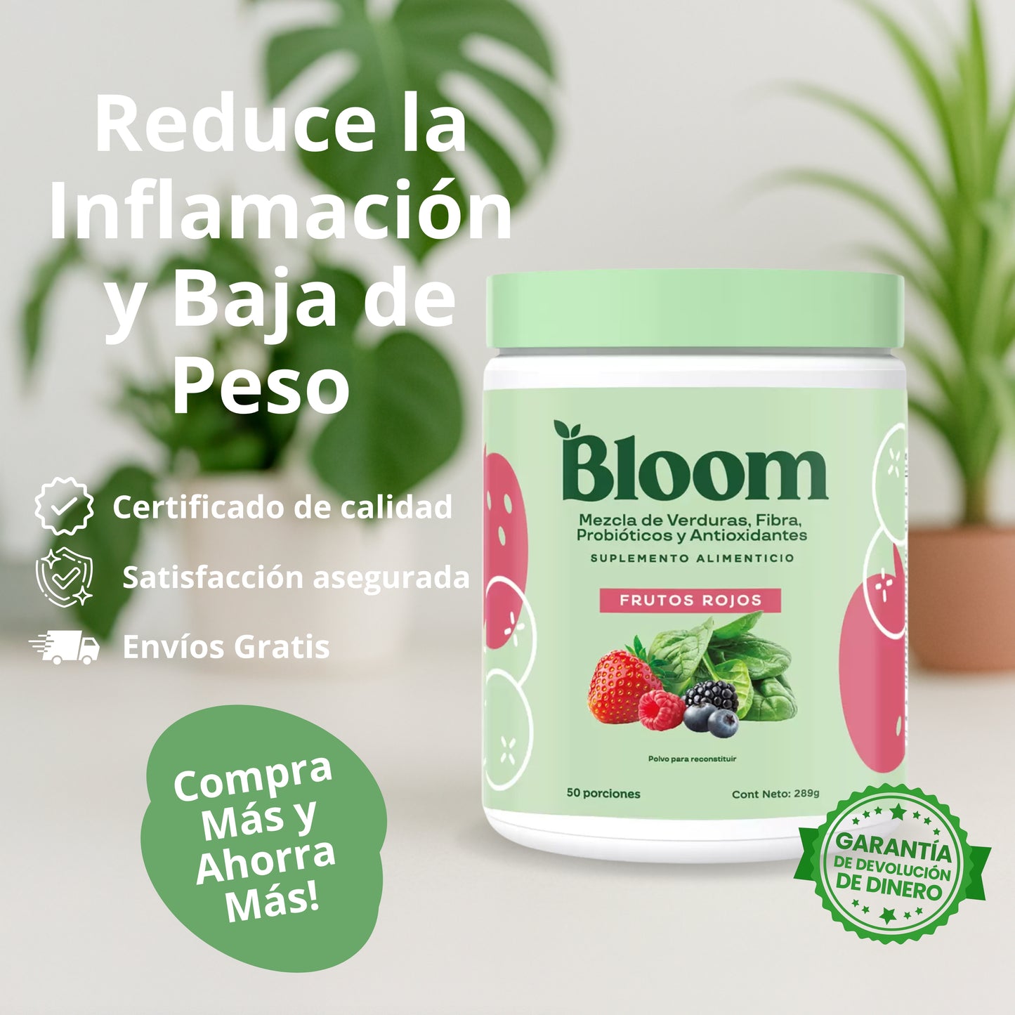 BLOOM Frutos Rojos